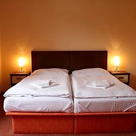 Garni Cosmopolitan 3*